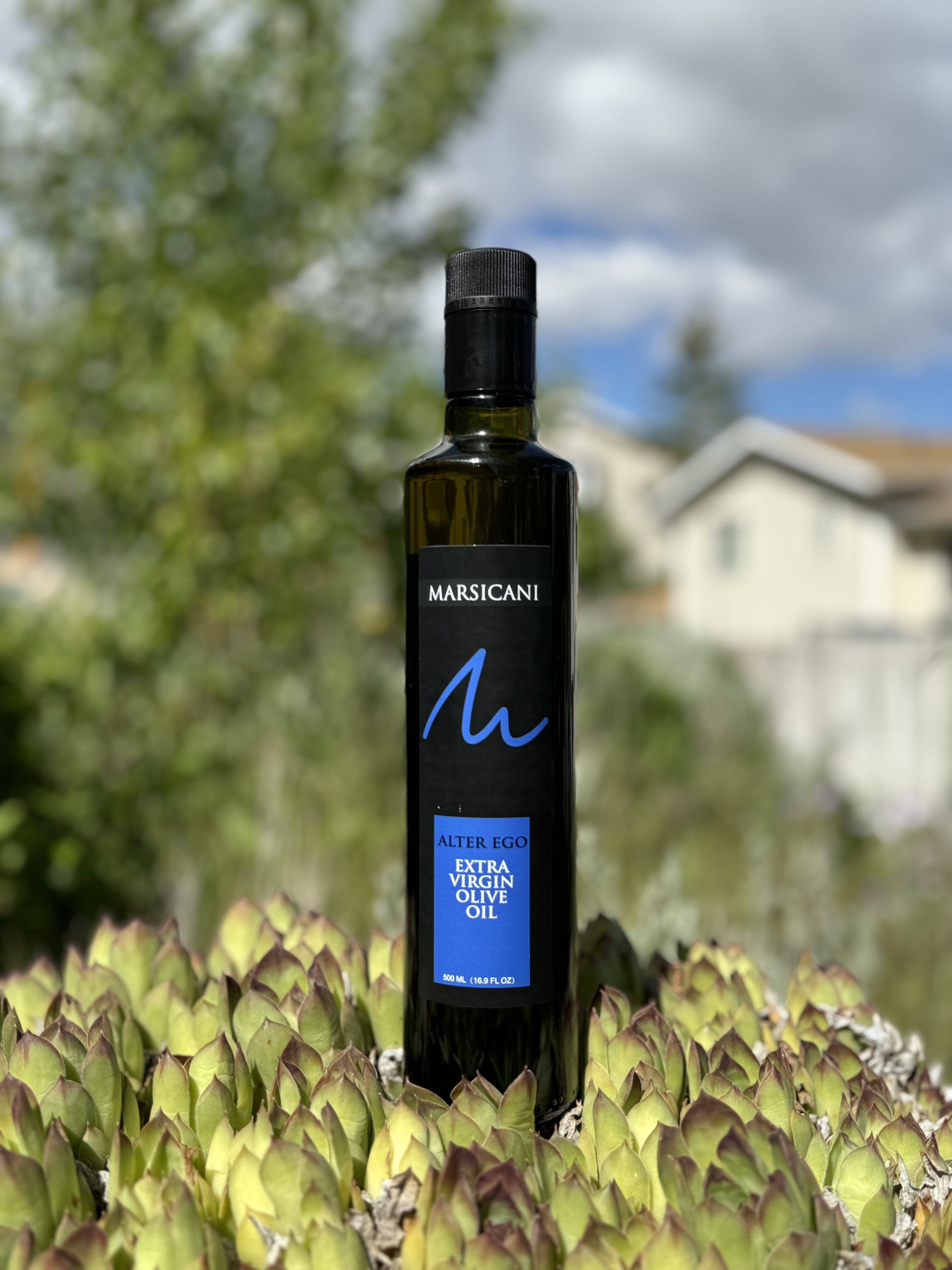 ALTER EGO Extra Virgin Olive Oil （Blue Label）