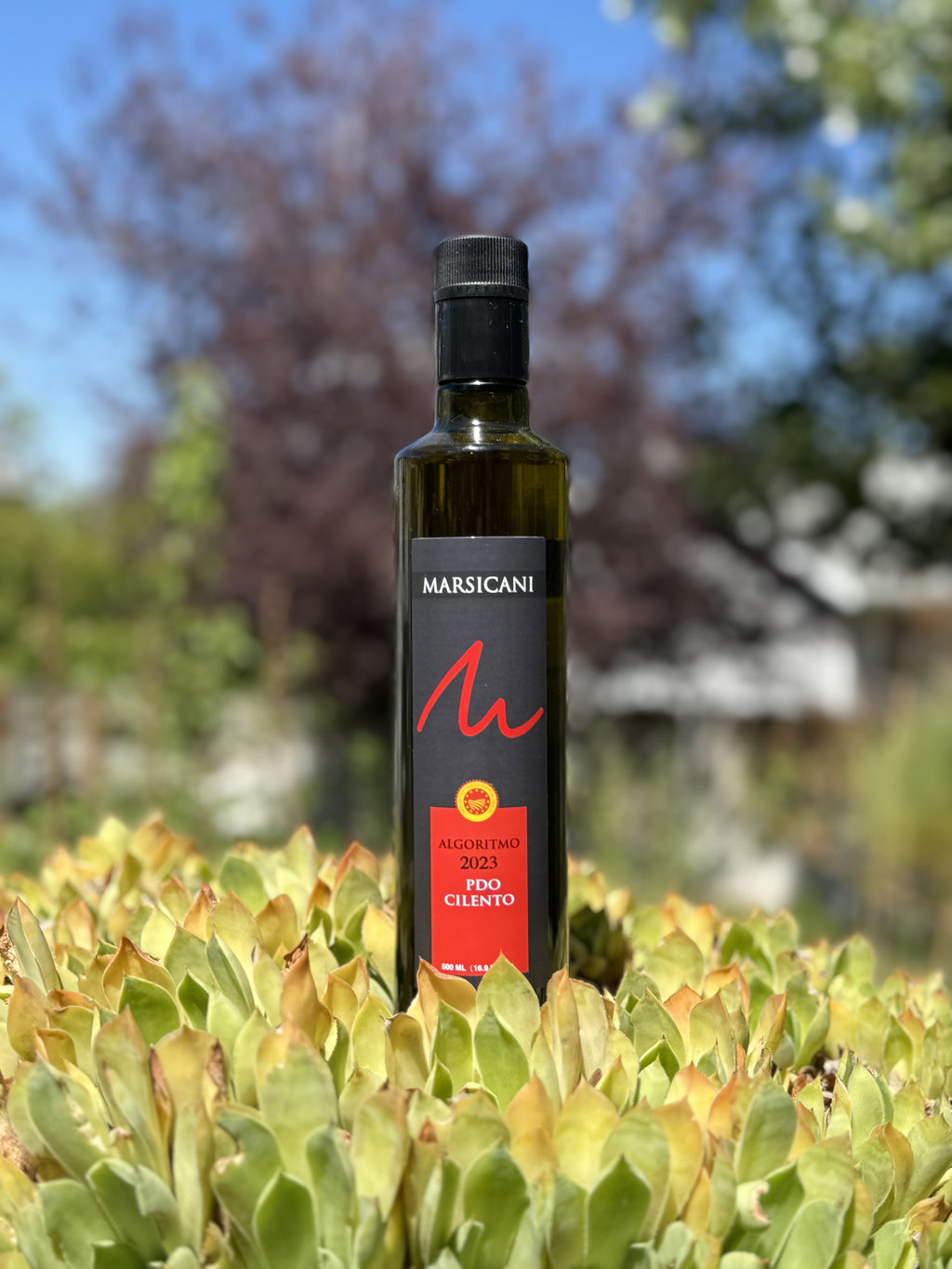 "ALGORITMO " Extra Virgin  Olive Oil（Red Label）