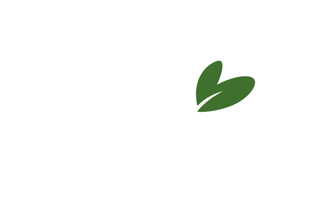 Lovevoo